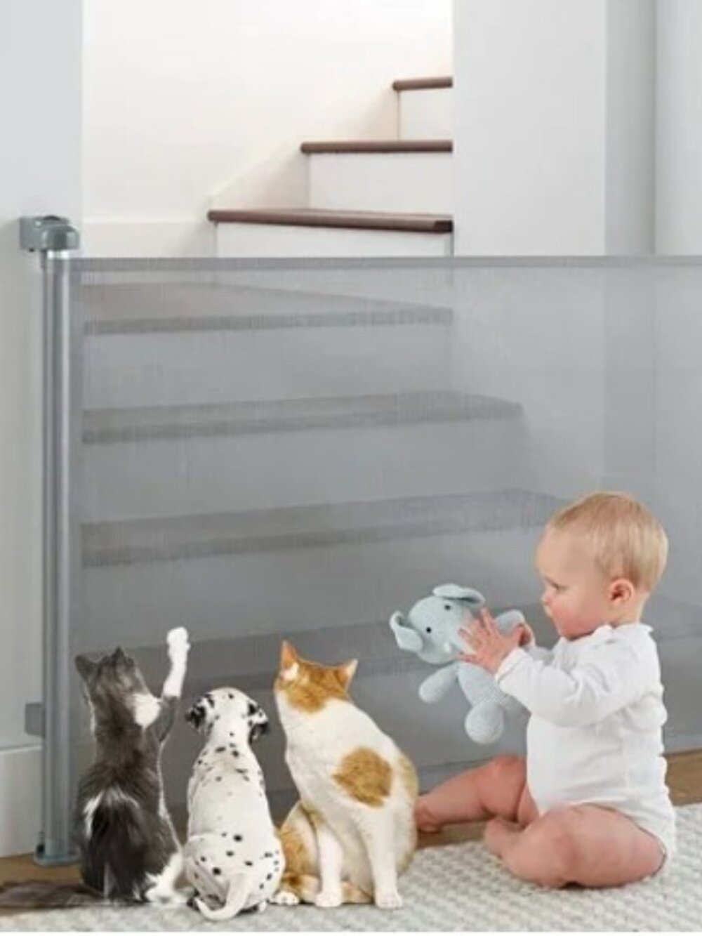Retractable Baby Gate